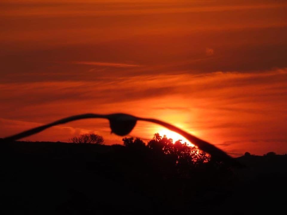Award Winning Lower Whitsleigh Farm Cottage Roborough Bagian luar foto