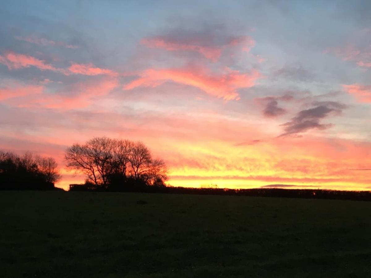 Award Winning Lower Whitsleigh Farm Cottage Roborough Bagian luar foto