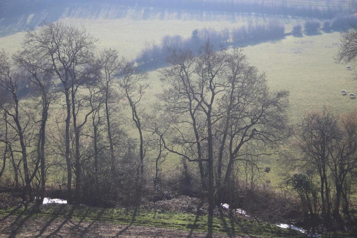 Award Winning Lower Whitsleigh Farm Cottage Roborough Bagian luar foto